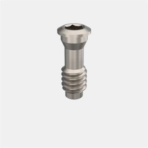 AVINENT® EC 4.1 Angled Transep. Abutment Screw