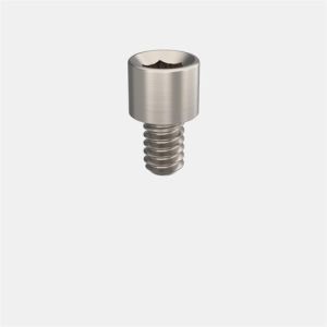 AVINENT® Transepithelial 4.8 Angulation Correction Screw
