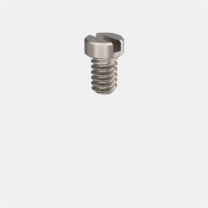 AVINENT® Transepithelial 4.8 Grooved Screw