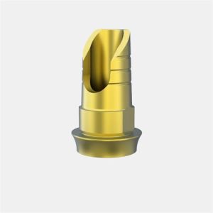 AVINENT® Transepithelial 4.8 Angled Ti Base GH1.5 H8 Non-E.