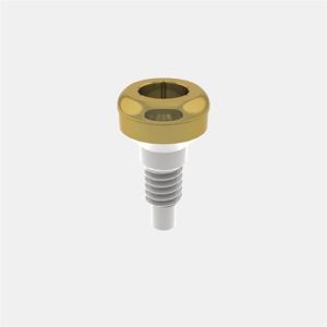 LOCATOR® Abutment IC 3.5/4.1 GH0 (2025)