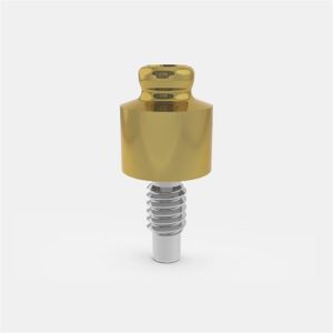 RHEIN83® Abutment EC 4.1 GH2